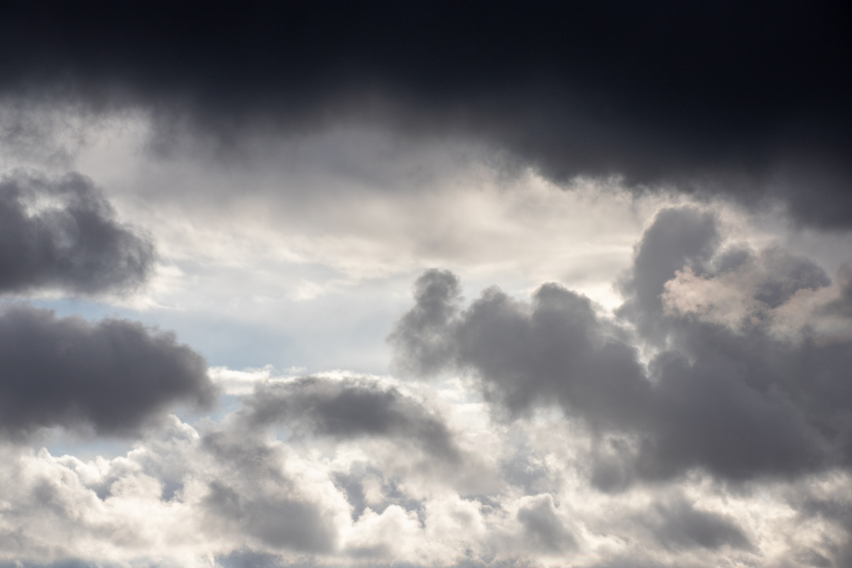 Фото: Тульская служба новостей