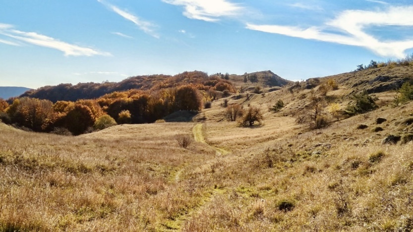 Плоскогорье, Демерджи-яйла, Крым. Фото автора