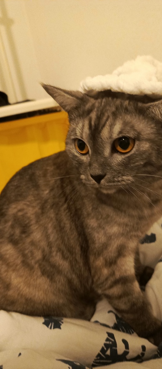 3 место самых удачных фоток Юняши