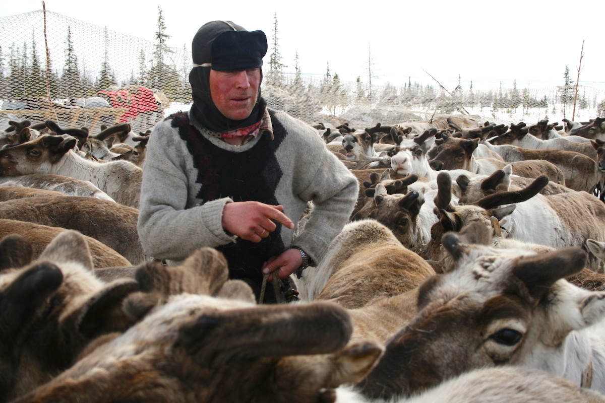 Фото: Александра Марчук / GeoPhoto