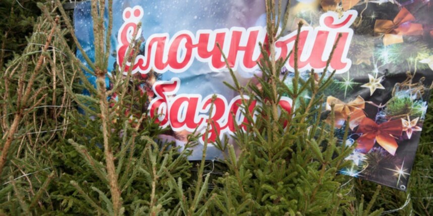    Святослав Акимов