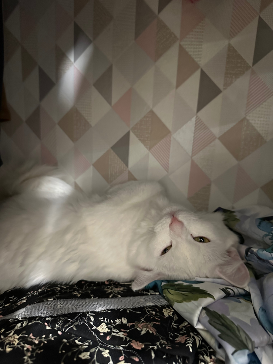 Нежится на моих тканях собственной персоной 