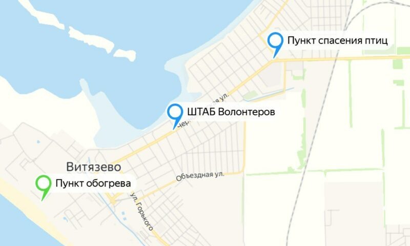    Фото пресс-службы администрации Анапы