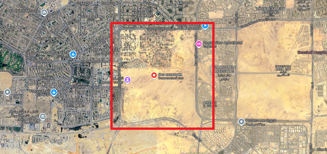 На карте, в красном квадрате, отмечен заповедник. Хорошо видно, как застройка Нового Каира подъедает территорию окаменевшего леса