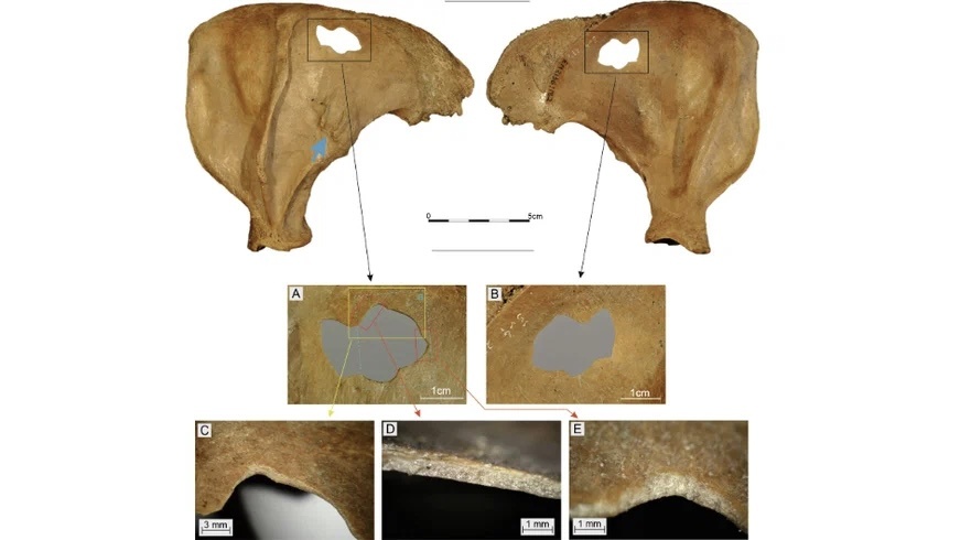 Grzegorz Osipowicz et al. / Journal of Archaeological Science: Reports, 2024