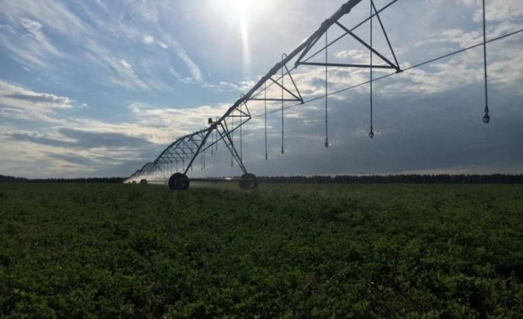    Новые мелиоративные гектары на 240 млн рублей появились в Башкортостане в этом году