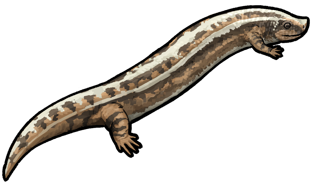 Иллюстрация типового вида.