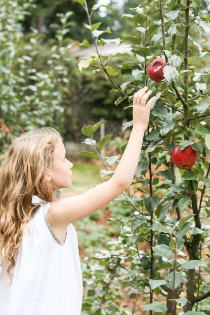 Опыт восприятия положений предметов формируется постепенно...