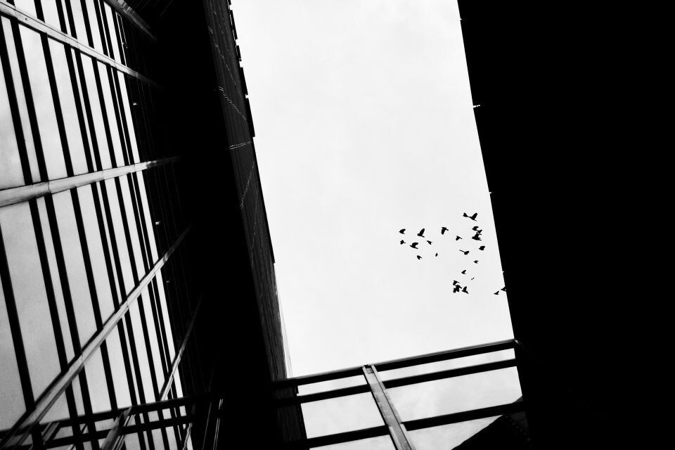    Окно. Многоэтажка. Источник: pixabay.com