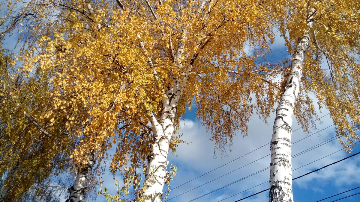 Фото автора.