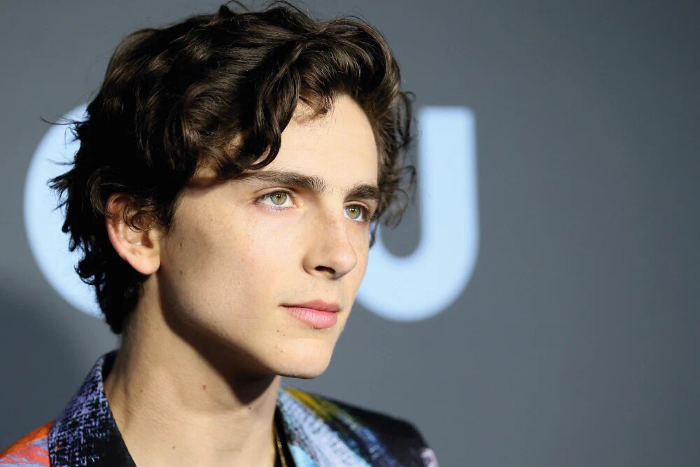 Тимоти Шаламе (Timothée Chalamet)