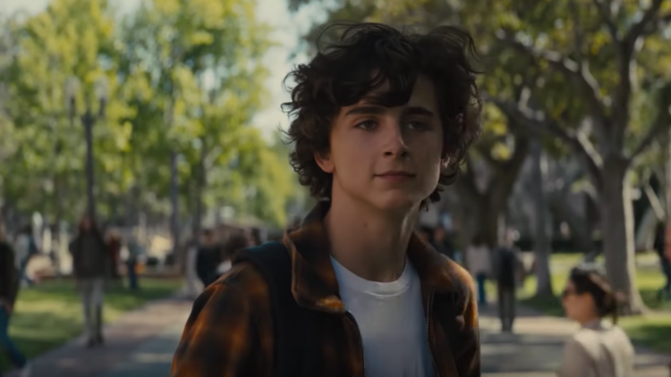 Ник в драме "Красивый мальчик" (2018, Beautiful Boy)