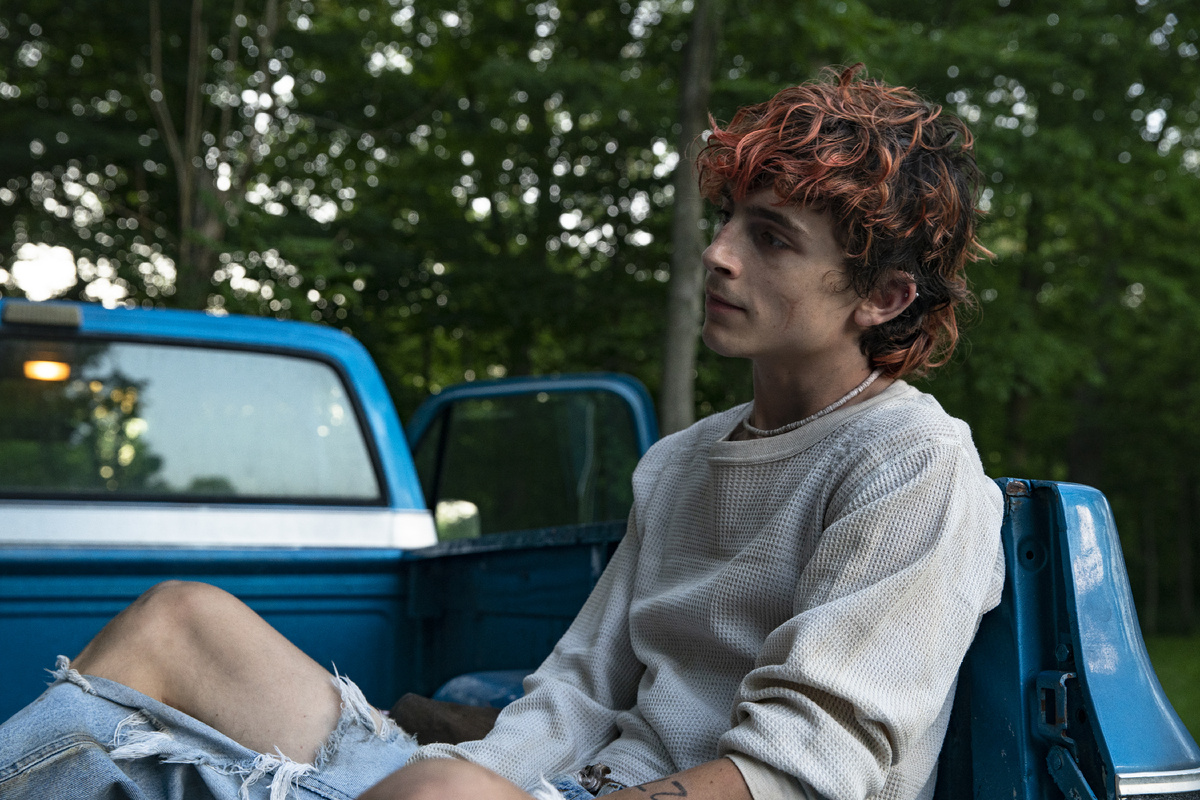 Ли в романтическом фильме ужасов "Целиком и полностью" (2022, Bones and All)