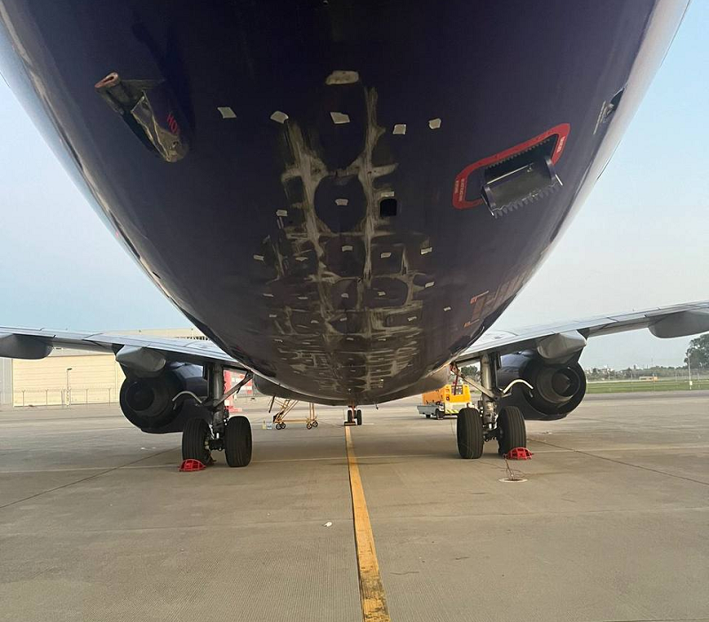    Фото: пресс-служба Западного МСУТ СК России