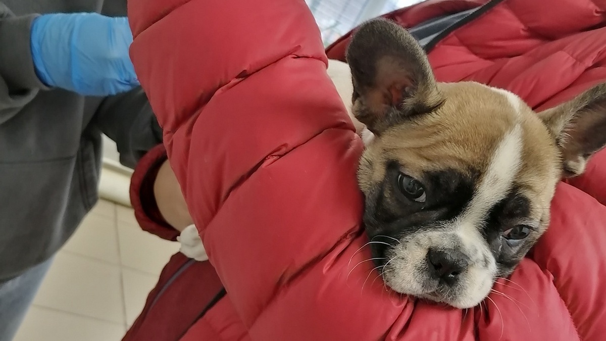 Фото Захаровской ветстанции