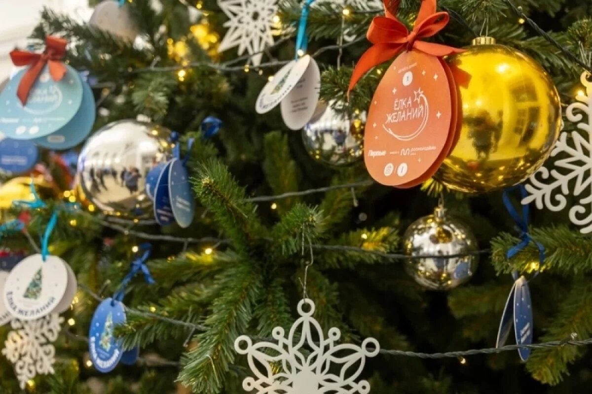    Псковский губернатор исполнит мечту юного Максима стать пилотом самолета