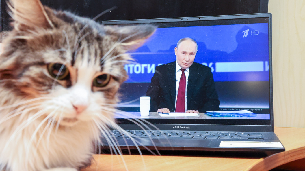    Фото: Belkin Alexey/Globallookpress