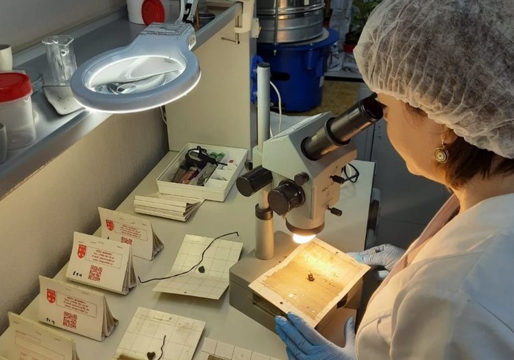    Башкортостан открывает поставки свекловичного жома в Южную Корею