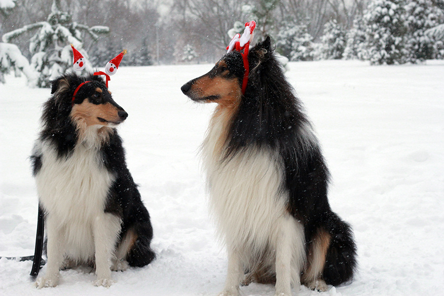 Фото из личного архива