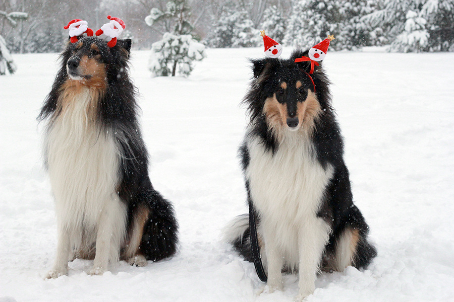 Фото из личного архива