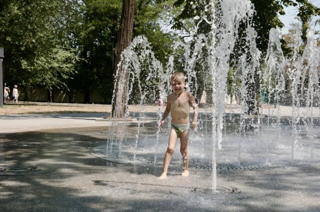    Фото: Администрация Санкт-Петербурга