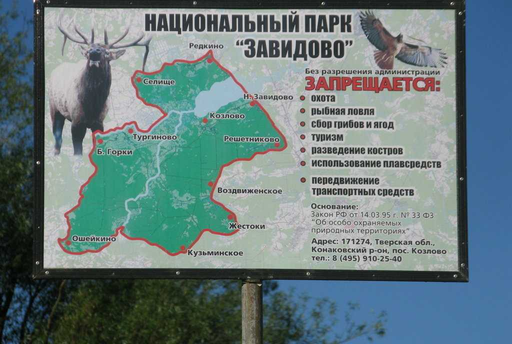 Фото из интернета