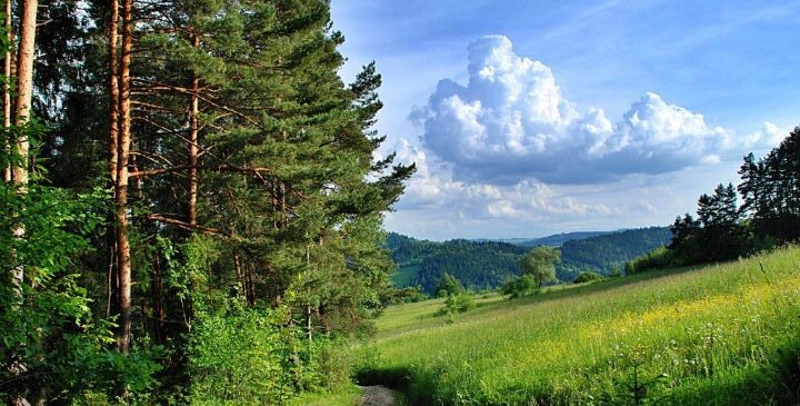 Фото из интернета. 