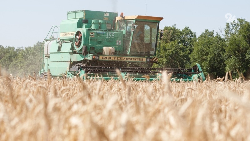      Фото: ИА «Победа26»