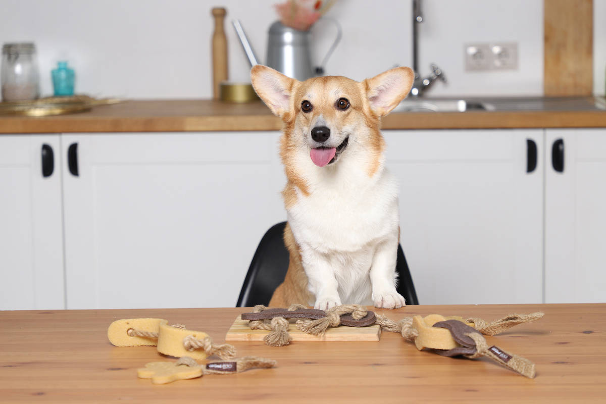 На фото – игрушки из экорезины, серия GUM GUM DOG ECO от бренда GiGwi 