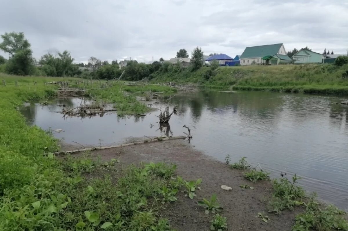    На площади 7 тыс. кв. м загрязнен пруд в Городище Пензенской области
