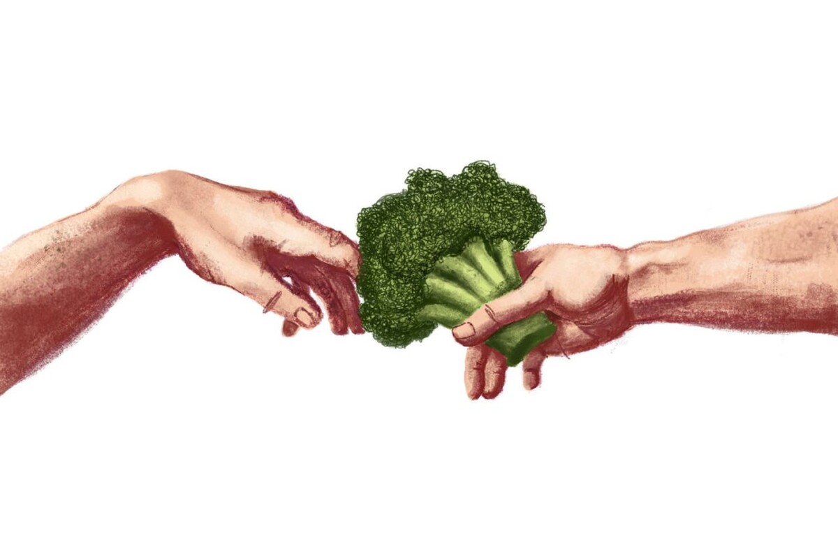 Источник: https://ru.pinterest.com/pin/35325178313351753/