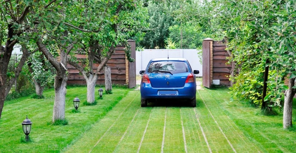 Из открытого доступа