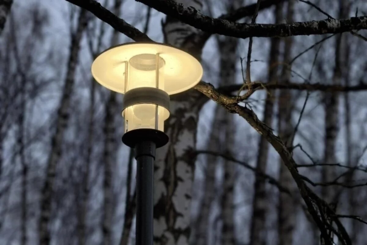    Ярославцы обратились на прямую линию Путина из-за плохого освещения