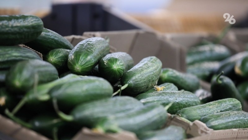      Фото: ИА «Победа26»