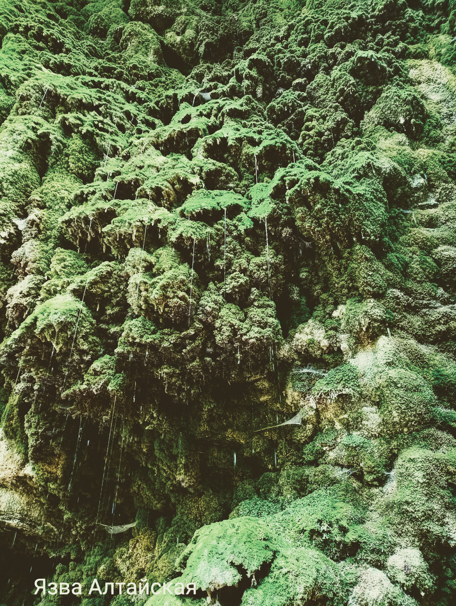 Водопад девичьи слезы