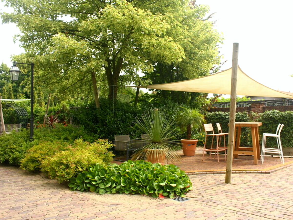 Фото Н. Мягковой из Аппельтерн, Нидерланды