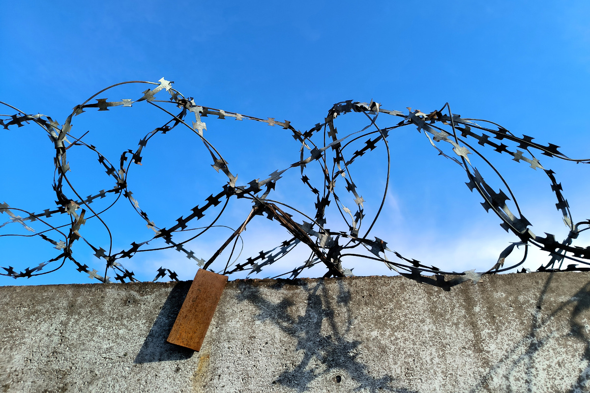 Фото: Maksim Konstantinov / Global Look Press