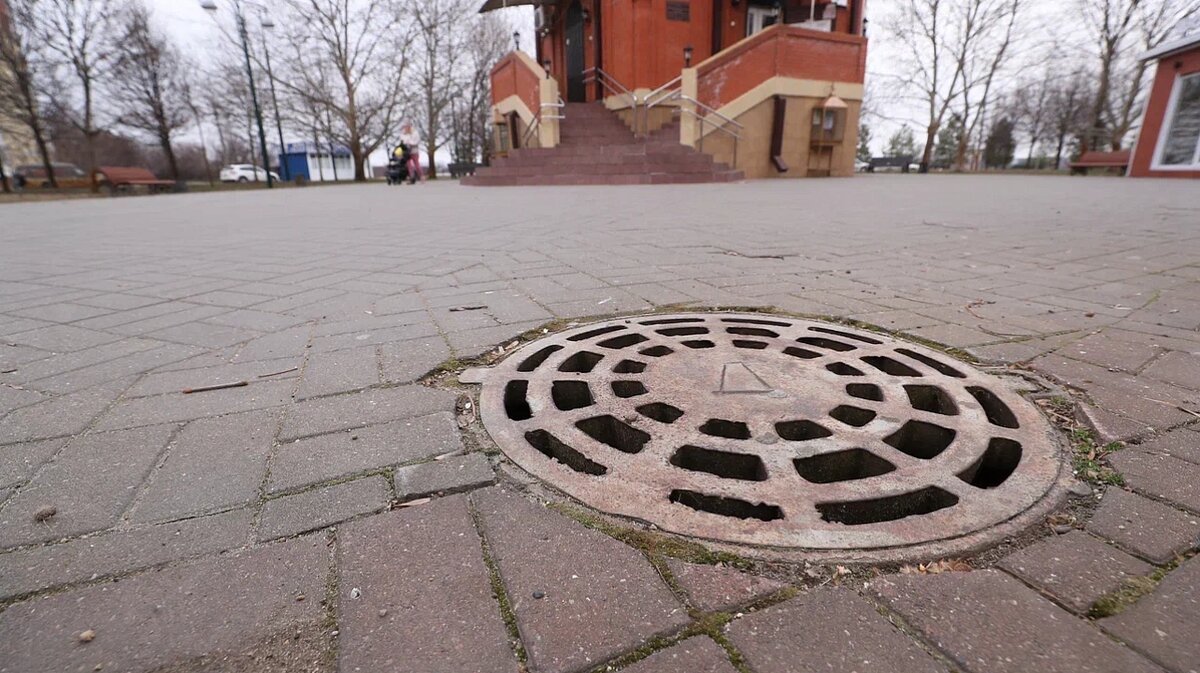     Фото: Пресс-служба администрации Краснодара