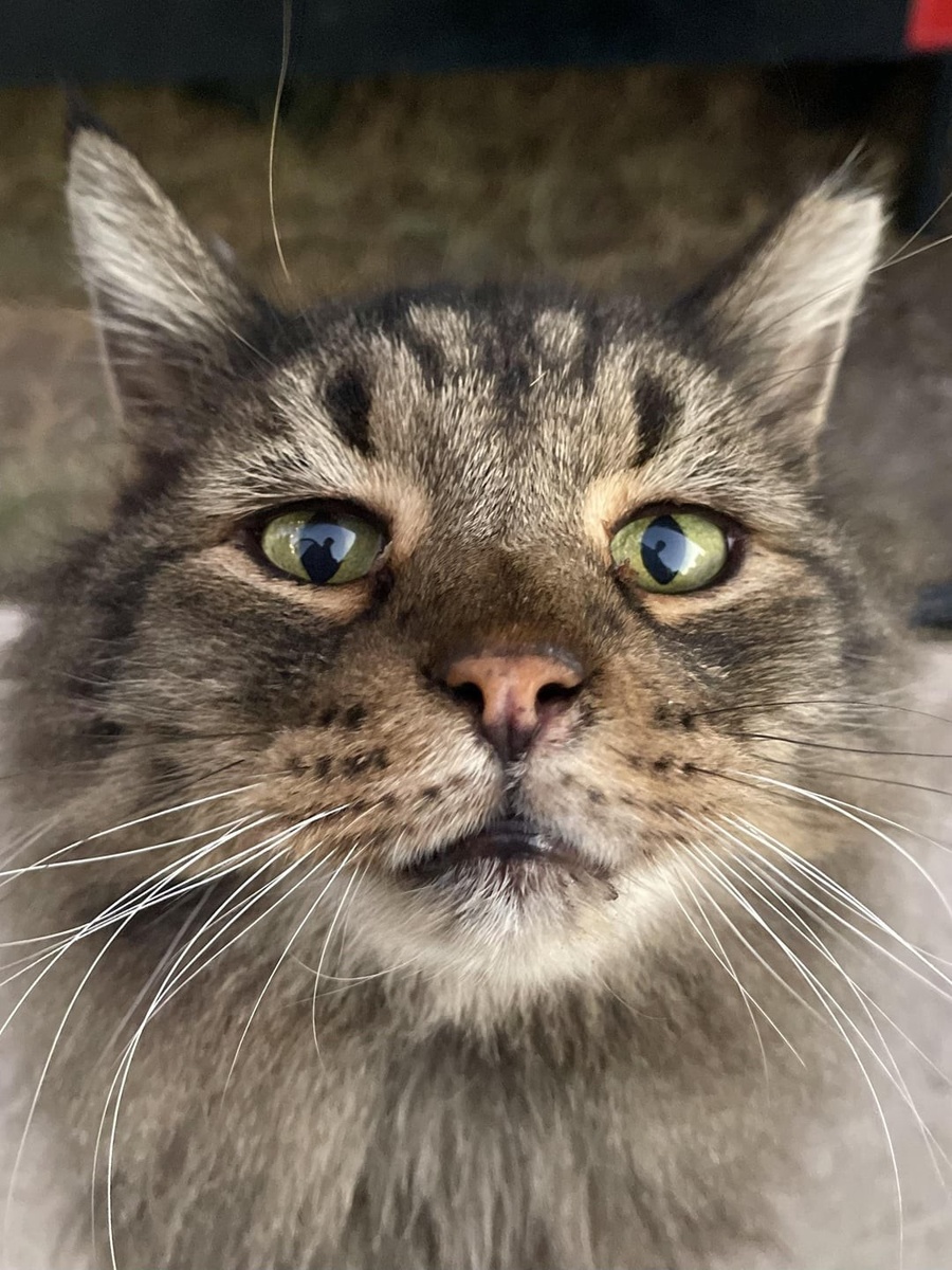 Источник: redd.it