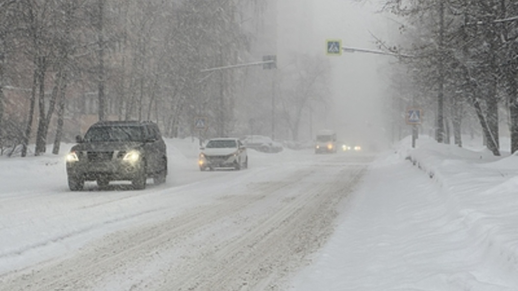    Фото: Alexander Legky/Globallookpress.