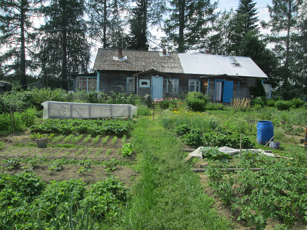 Вот такие у нас огороды в поселке