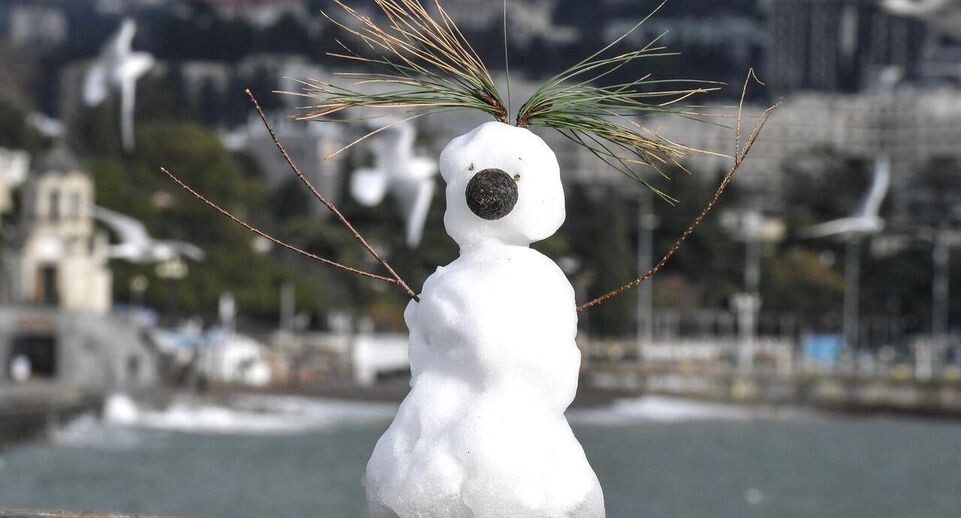    РИА «Новости»