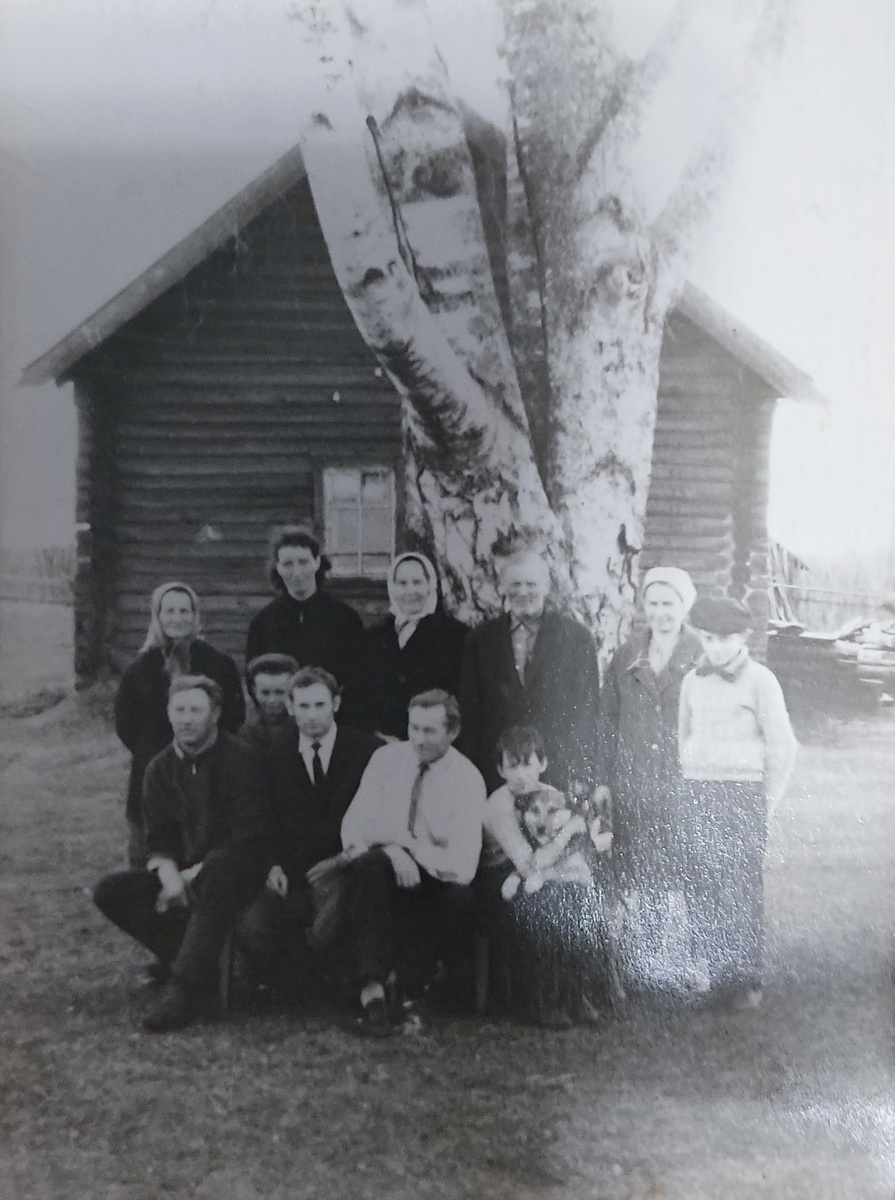 Большая семья