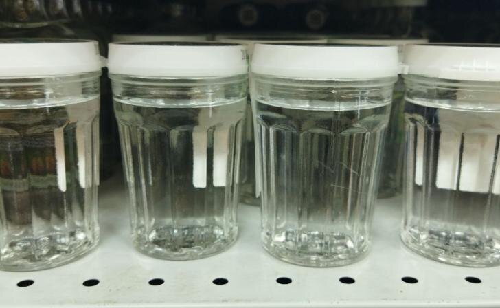    фото Курские известия