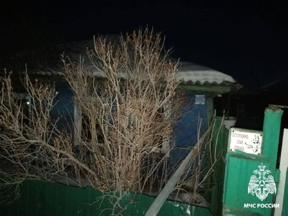    Пожар в Новосибирской области. Источник: Телеграм-канал МЧС Новосибирской области