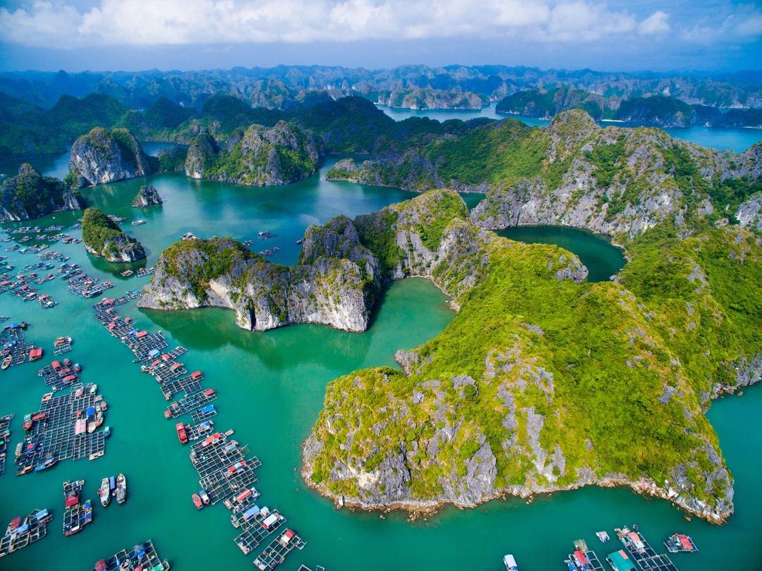 Один из видов. Взято из открытых источников.