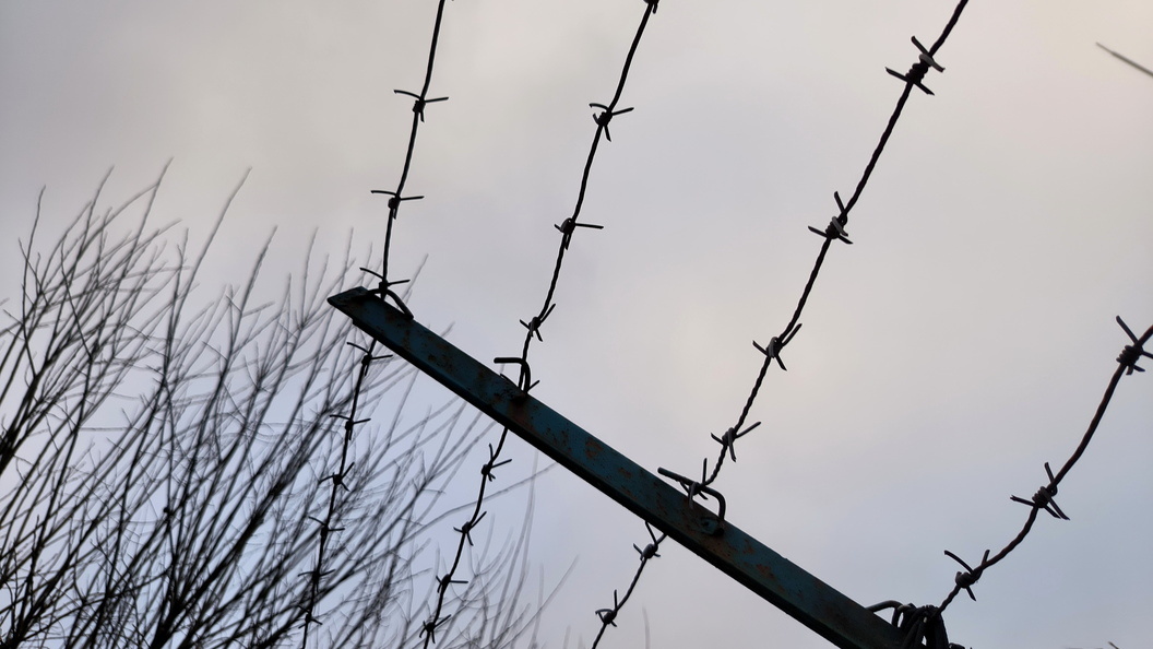    Фото: Maksim Konstantinov/Globallookpress