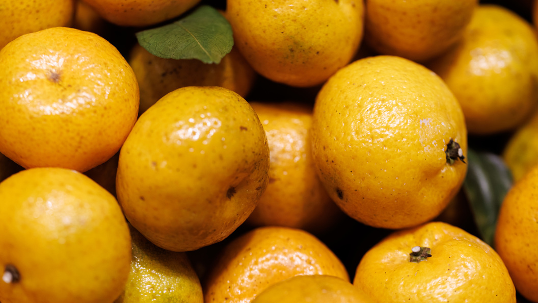    Sergey Elagin/Business Onlin/Globallookpress