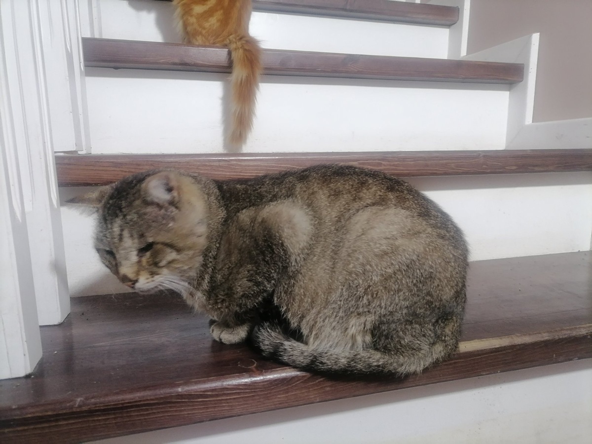 Старенькое радио "Вася-FM"