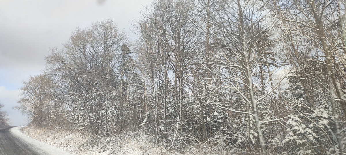Перевал Сергеевский. Приморье.